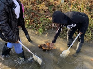 Students collecting trash from the creek